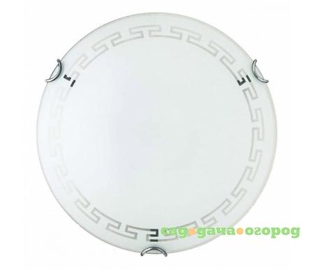 Фото Maude TL9161Y-01WH