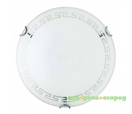 Фото Maude TL9162Y-02WH