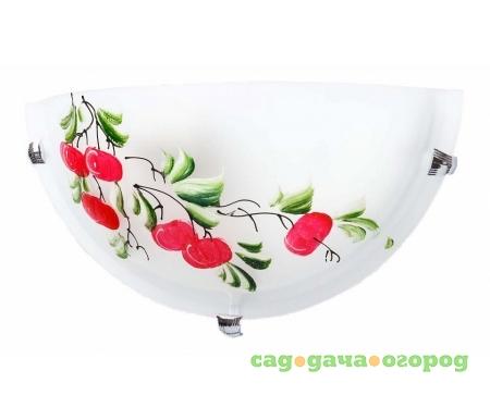 Фото Omtar TL9370Y-01WH