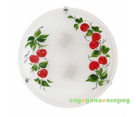 Фото Omtar TL9371Y-02WH