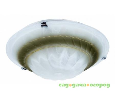 Фото Clare TL9101Y-02BR