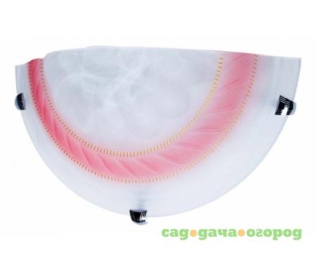 Фото Clare TL9100Y-01PK