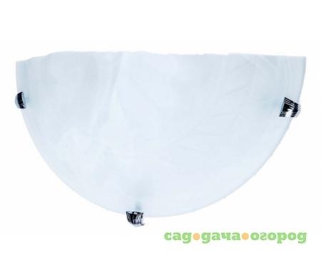 Фото Clare TL9100Y-01TR