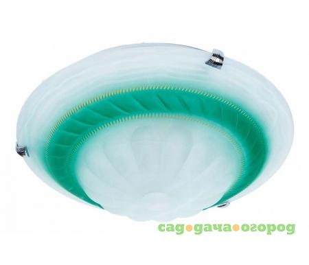 Фото Clare TL9101Y-02GN