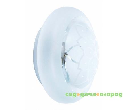 Фото Cori TL9550Y-02WH