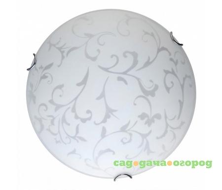 Фото Daniela TL9530Y-00WH