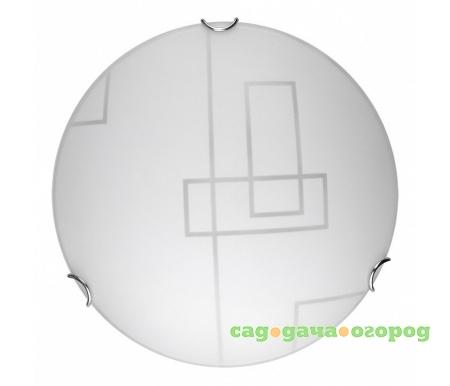 Фото Debora TL9541Y-00WH