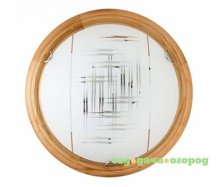 Фото Zier TL9153Y-02PN