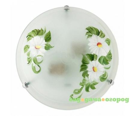 Фото Vegost TL9341Y-02WH