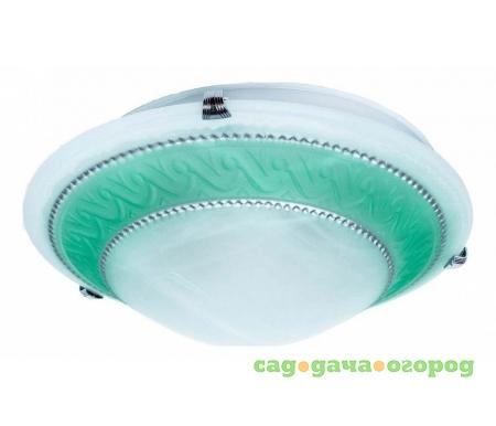 Фото Elizabeth TL9091Y-02GN