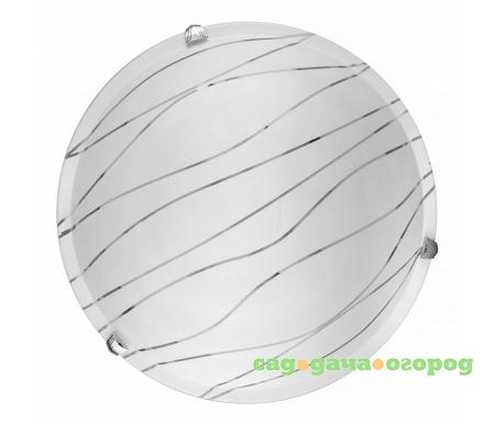 Фото Gabrielle TL9610Y-00WH