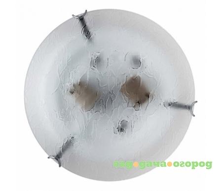 Фото Julianna TL9301Y-02SM