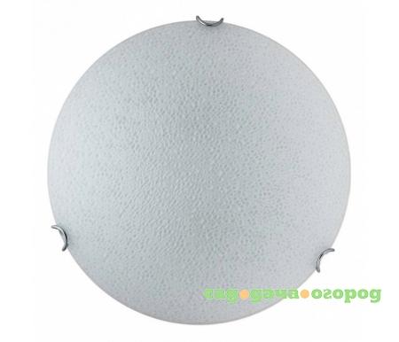 Фото Abigayle TL9311Y-02WH