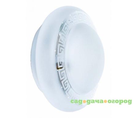 Фото Betty TL9591Y-01WH