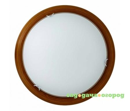 Фото Hillary TL9023Y-02OA