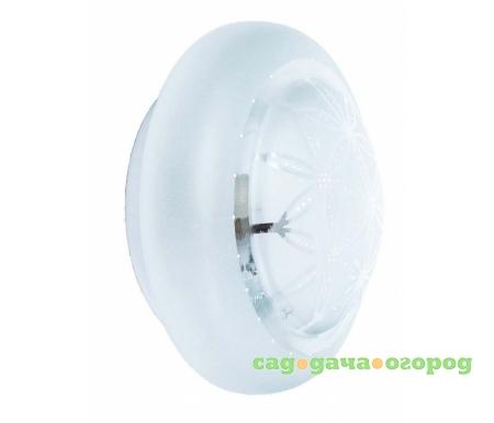 Фото Brianna TL9571Y-01WH