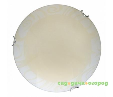 Фото Ginger TL9621Y-00WH