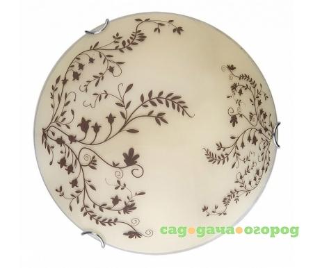 Фото Irene TL9630Y-00WH