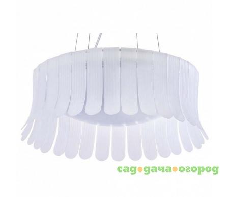 Фото Degas MOD341-PL-01-24W-W