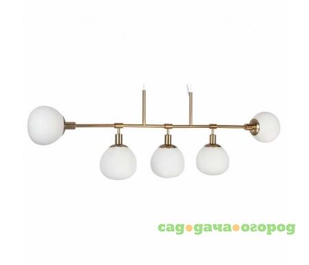 Фото Erich MOD221-PL-05-G
