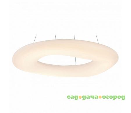 Фото Levita 8003/75 SP-1