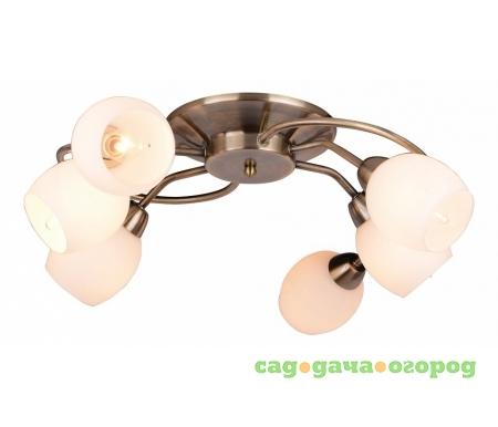Фото Silvana A4033PL-6AB
