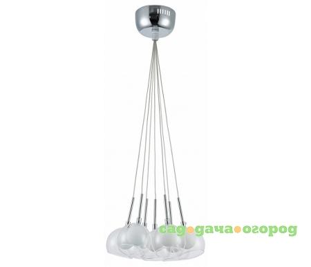 Фото Carmela FR5175-PL-07-CH