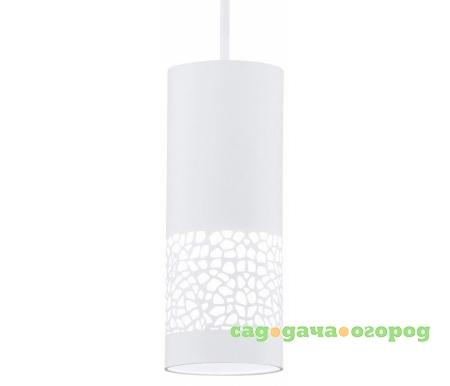 Фото Carmelia 91414