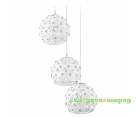 Фото Hanifa 92285