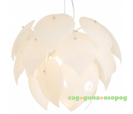 Фото Palmer A5694SP-5WH
