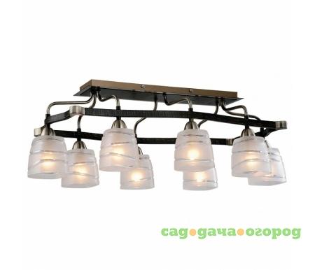 Фото Каппа CL150181