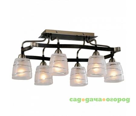Фото Каппа CL150161