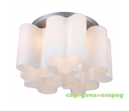 Фото Big Onde SL119.502.05