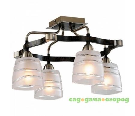 Фото Каппа CL150141