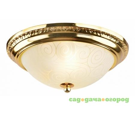 Фото Arte Lamp 28 A3013PL-2GO