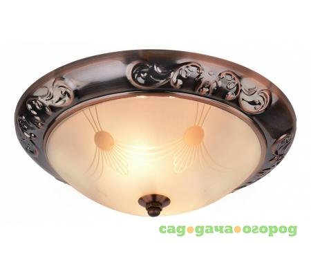 Фото Arte Lamp 28 A3014PL-2AC