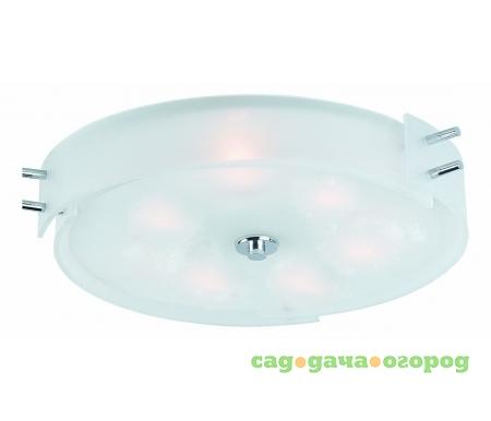 Фото ST Luce Hegia SL484.502.06