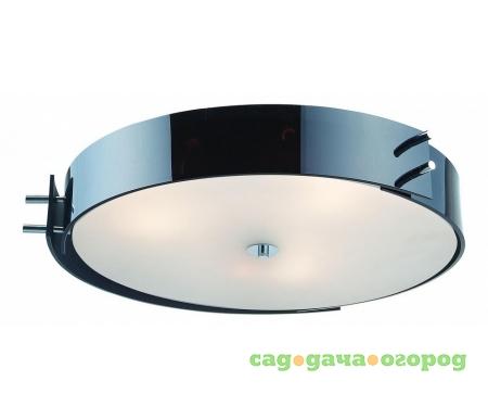 Фото ST Luce Hegia SL484.402.04