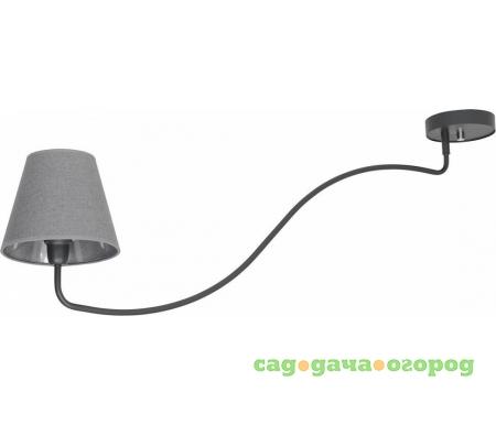 Фото на штанге Swivel Graphite 6550