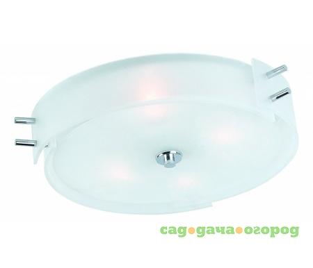 Фото ST Luce Hegia SL484.502.04