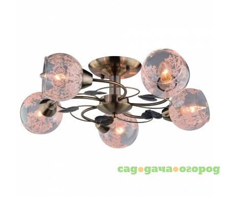 Фото Arte Lamp 31 A1292PL-5AB