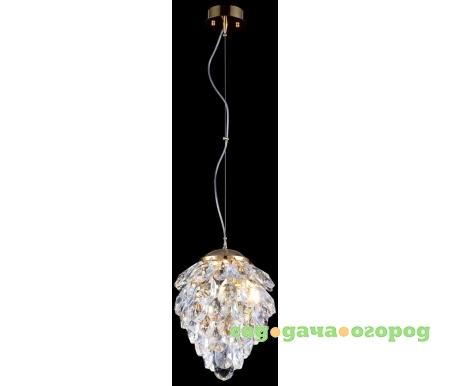 Фото Charme Sp1+1 Led Gold/Transparent