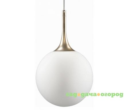 Фото Lightstar Globo 813023