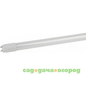 Фото Светодиодная лампа эра стандарт led t8-10w-840-g13-600mm, трубка стекл., 10вт, g13 б0032999