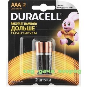 Фото Литиевые батарейки duracell lr03-2bl basic cn 2 штуки в блистере б0026812