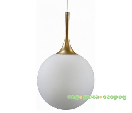 Фото Lightstar Globo 813022