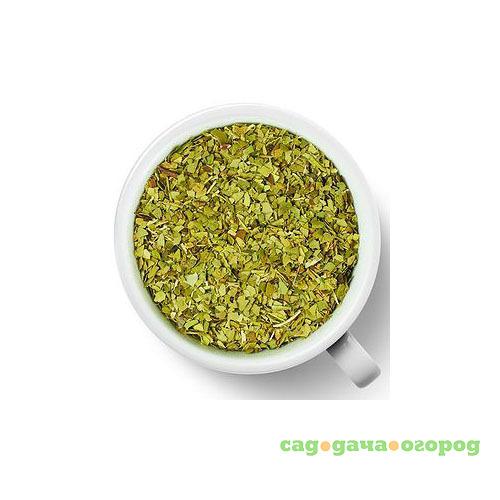 Фото Чай зеленый с имбирем