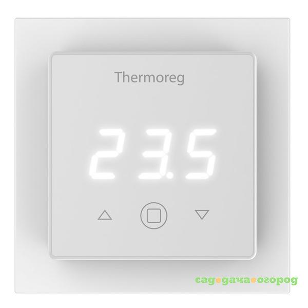 Фото Thermo Thermoreg TI-300