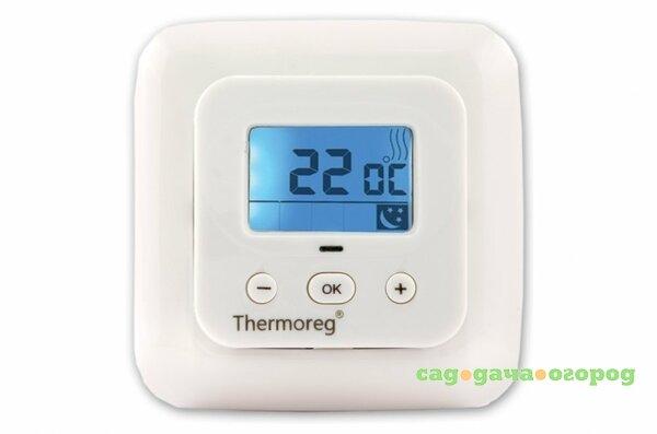 Фото Thermo Thermoreg TI-900