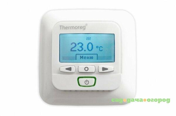 Фото Thermo Thermoreg TI-950